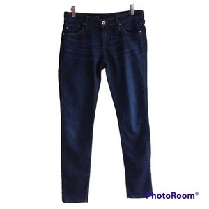 AG Goldschmied the stilt jeans